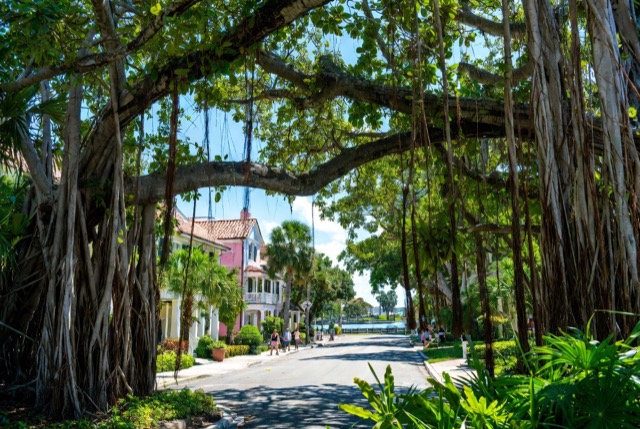 Coconut Grove